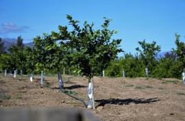 Farmers urged to implement risk-reduction measures