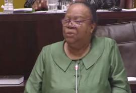 Pandor warns of looming genocide in Gaza, calls for immediate cease fire