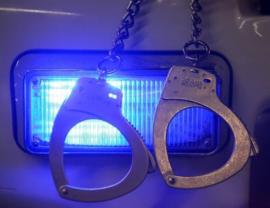 Swift arrest of suspects in German murder case lauded