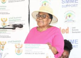 President suspends Deputy Minister Peters