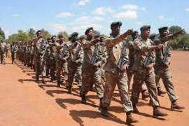 Probe into SANDF deaths