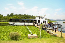 Task team established to clear alien invasive plants in Vaal River