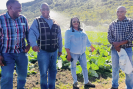 R1.5 million irrigation system to boost vegetable farmers