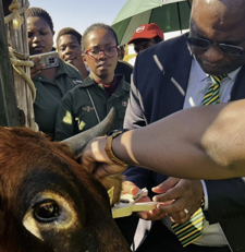 E Cape introduces technology to fight stock theft