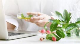 200 oil producers, stakeholders from Southern Africa gather in Pretoria