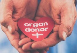 Appeal for more organ donors