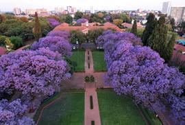 Justice department condemns alleged racism incidents