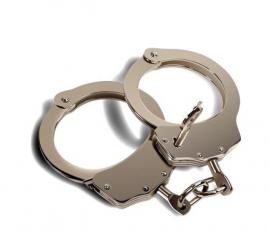 Another drug mule nabbed